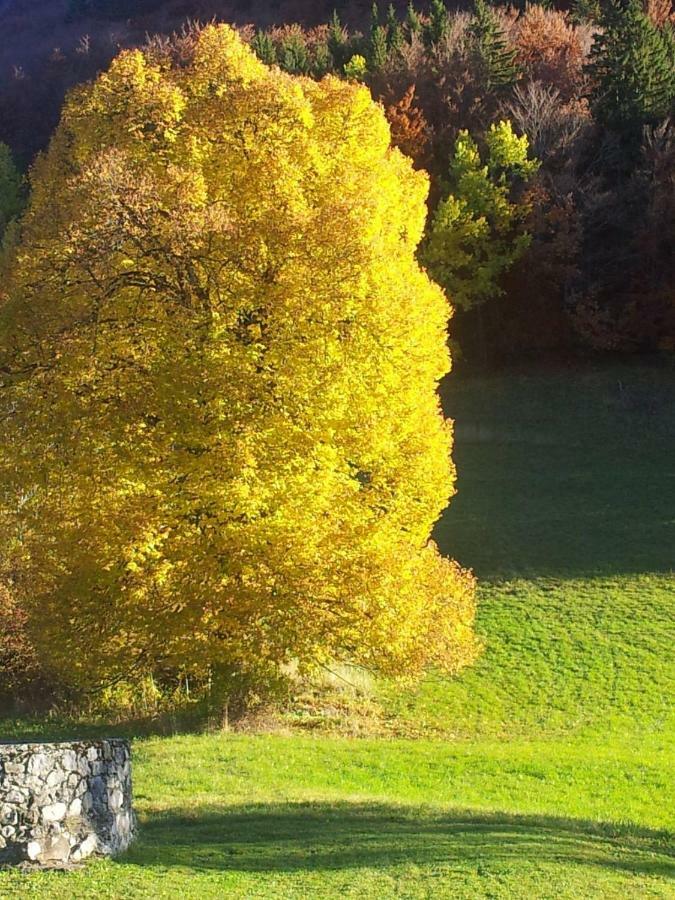 Le Relais Du Tilleul Chevenoz Eksteriør billede